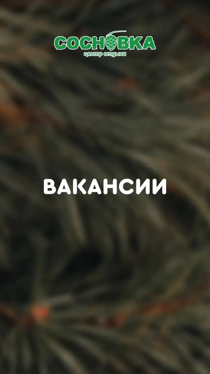 Вакансии в центр отдыха «Сосновка» - Вакансии в сфере обслуживания (Работа) в Сосновка
