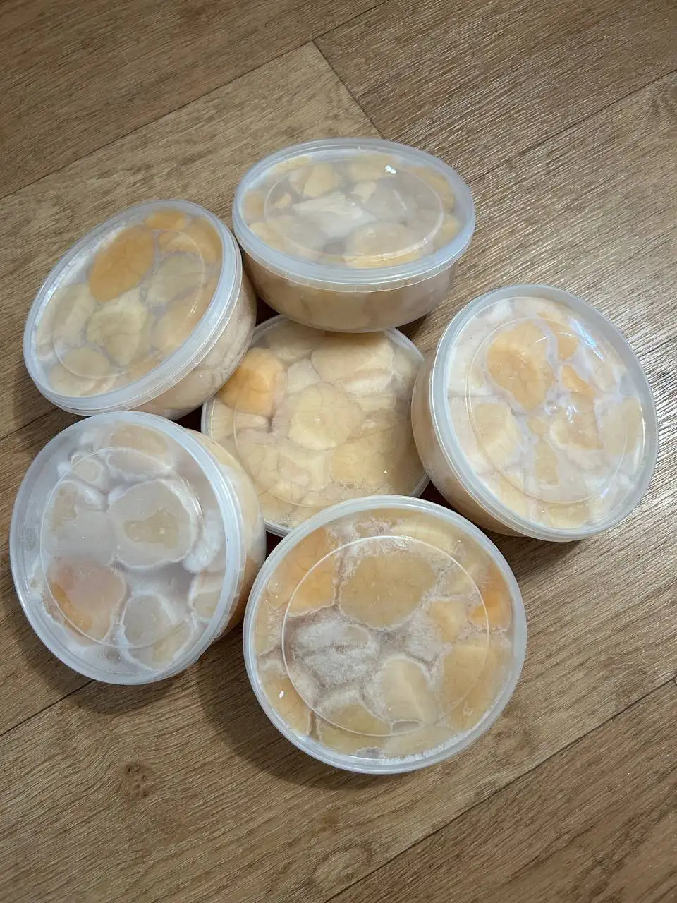 Камчатский краб и морепродукты - Еда в Хабаровск