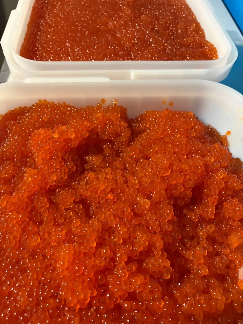 Свежая икра кеты малой соли, продажа в Хабаровске - Продукты питания (Барахолка) в Хабаровск