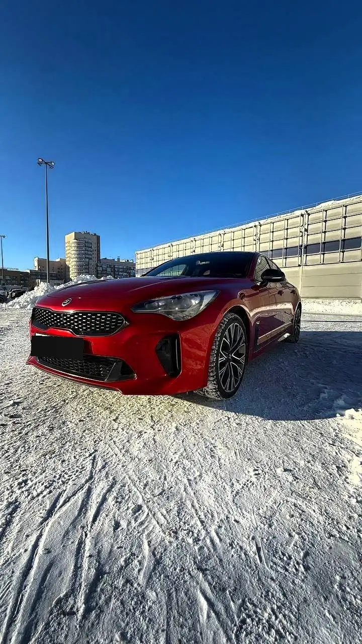 Kia Stinger 2.0 AT 2018 - Легковые автомобили (Авто) в Нижний Новгород