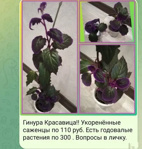 Продажа детских велосипедов в Кемерово - Товары для детей в Кемерово