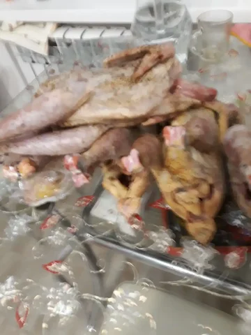 Продажа молодых петушков - Животные в Саратов