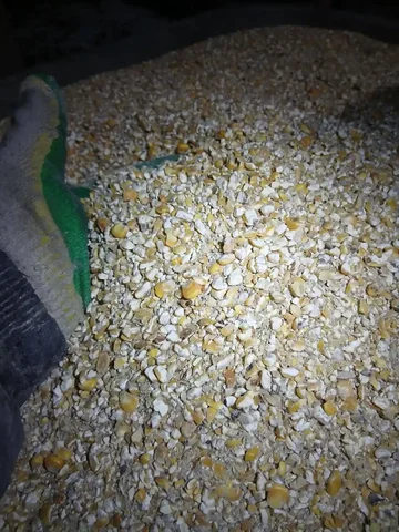 Продажа кукурузы 2-го сорта - Для дома и дачи в Саратов