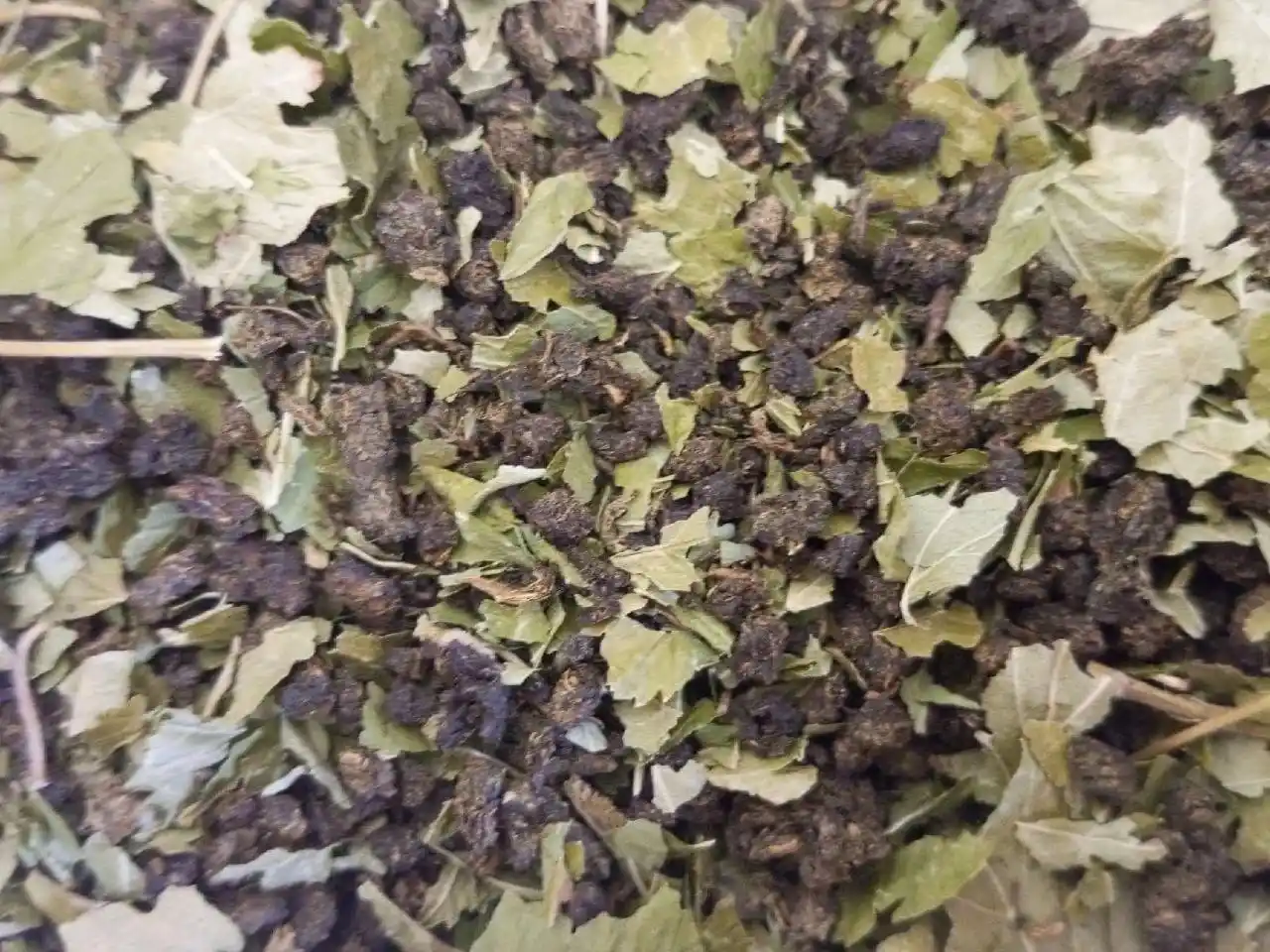 Ферментированный иван-чай 2025 года урожая