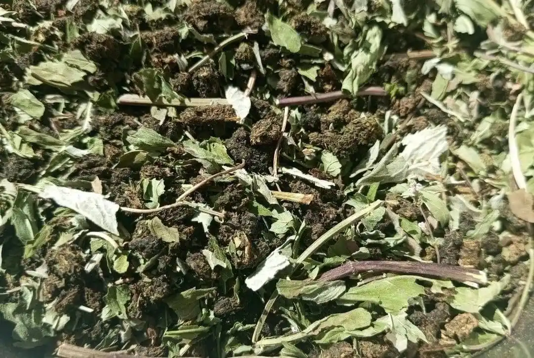 Ферментированный иван-чай 2025 года урожая