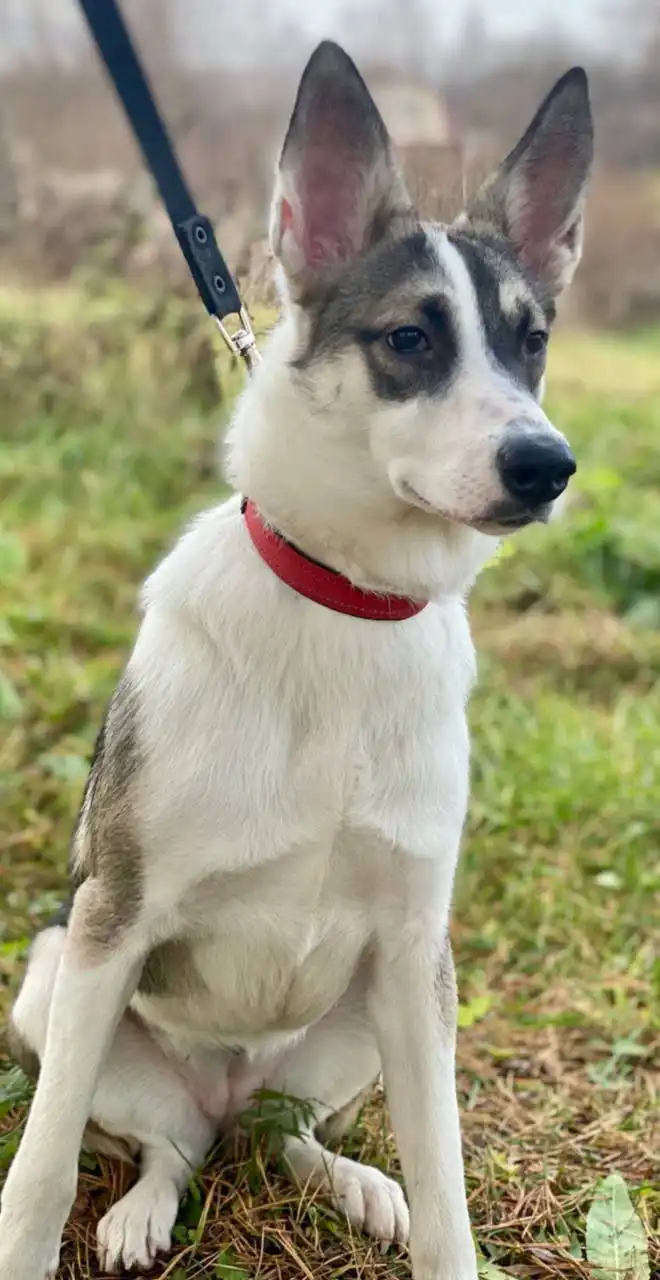 Тори ищет новый дом