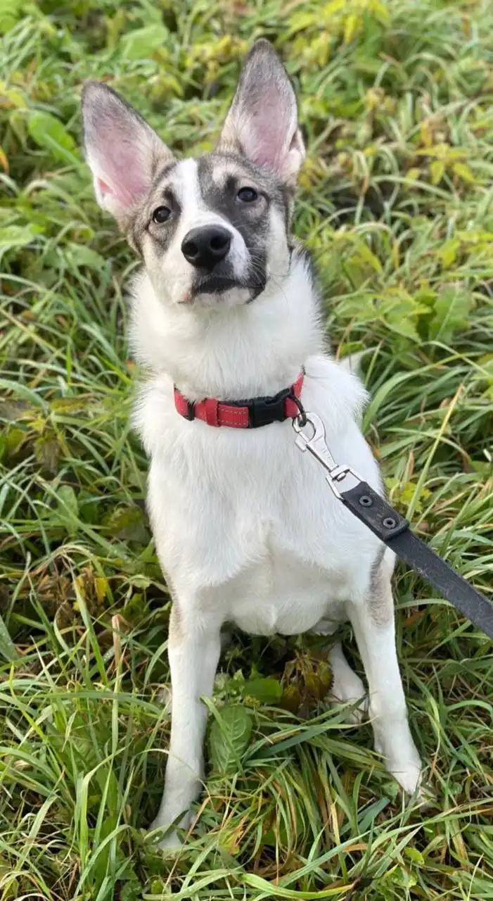 Тори ищет новый дом