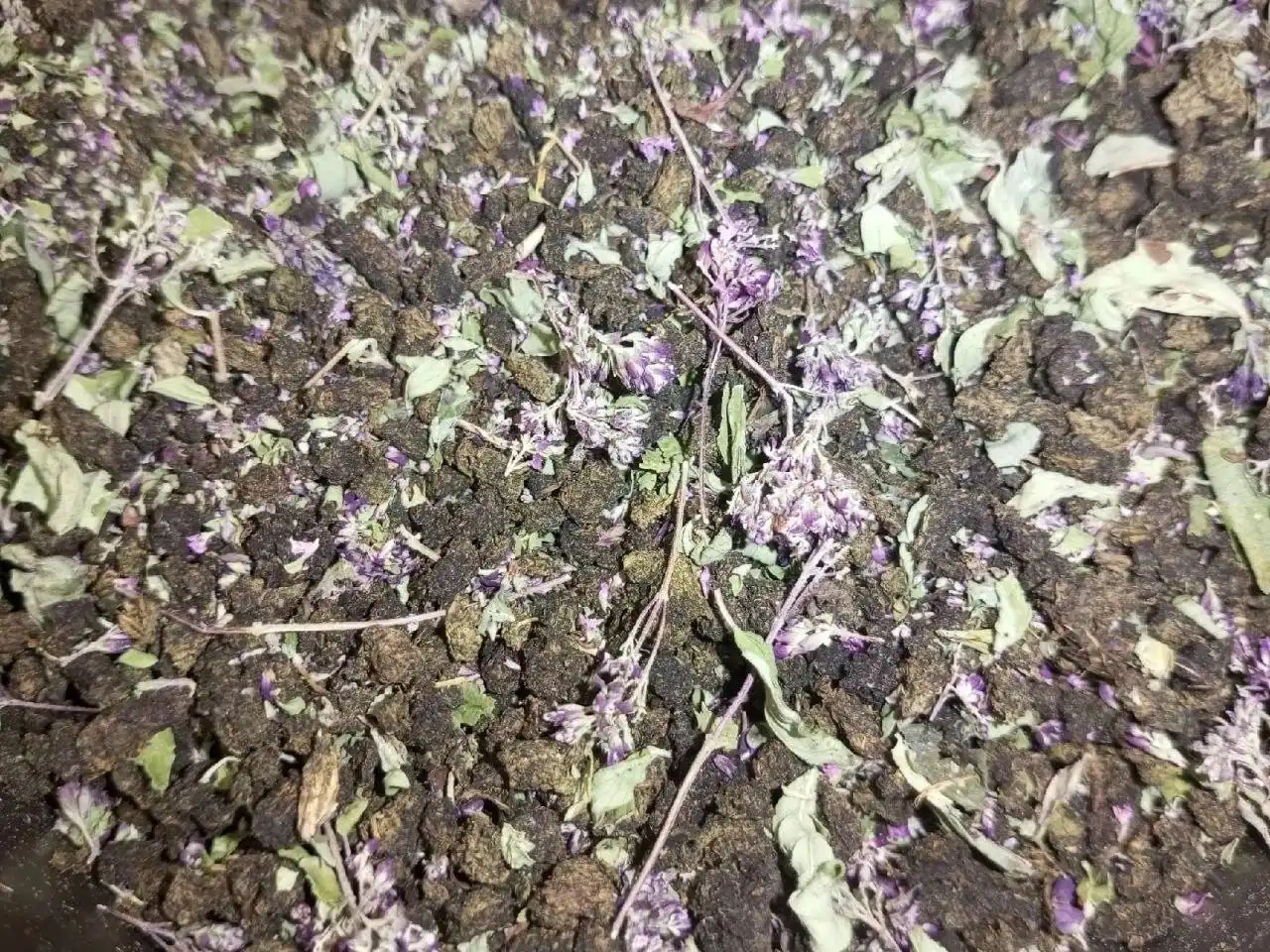 Ферментированный иван-чай с добавками