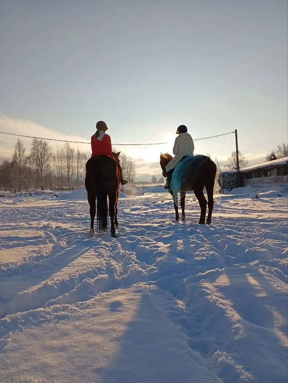 Новогодняя ёлка и конная прогулка