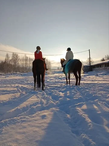 Новогодняя ёлка и конная прогулка - частное объявление в Нижний Новгород