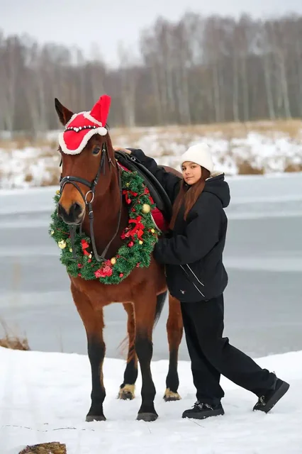 Фотодень с лошадьми и пони в Нижнем Новгороде - частное объявление в Нижний Новгород