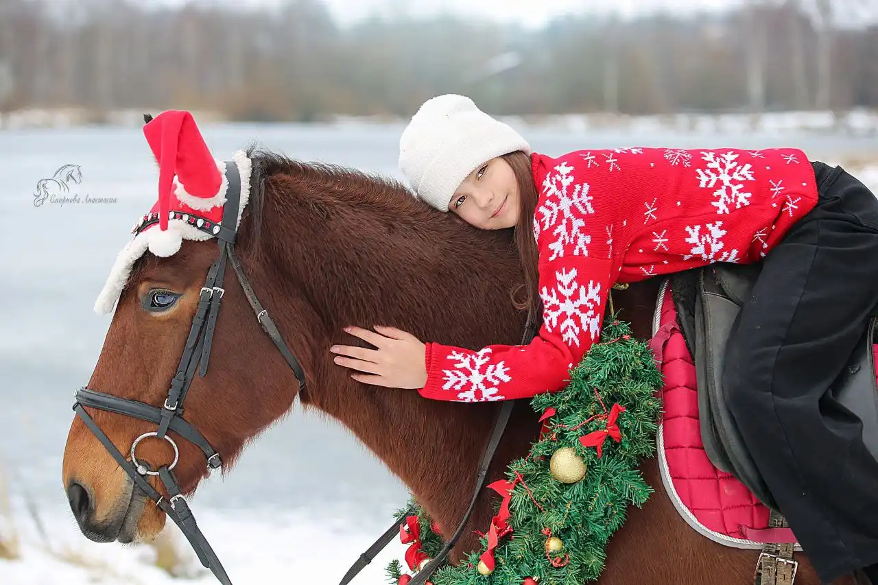 Фотодень с лошадьми и пони в Нижнем Новгороде