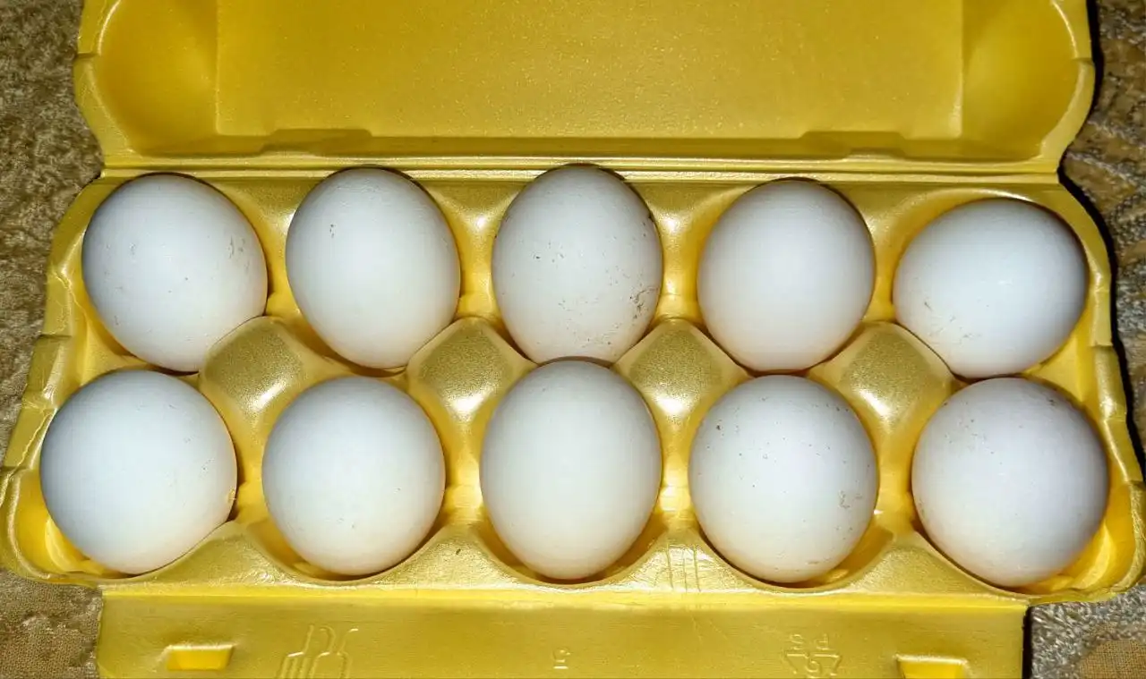 Продажа домашних куриных яиц - Продукты питания (Барахолка) в Нижний Новгород