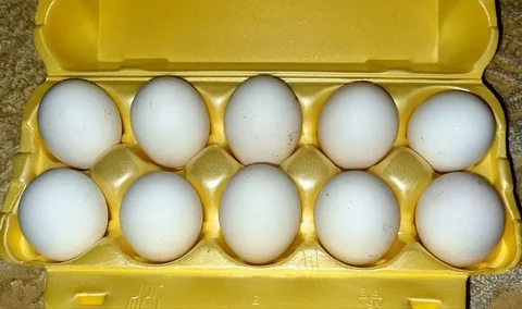 Домашние куриные яйца без химии - Продукты питания в Нижний Новгород