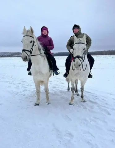 Конная прогулка для двоих на День влюбленных - Услуги в Нижний Новгород