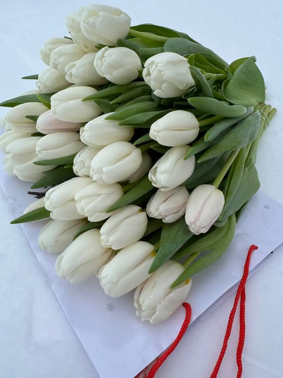 Тюльпаны на День всех влюбленных - Услуги в Нижний Новгород