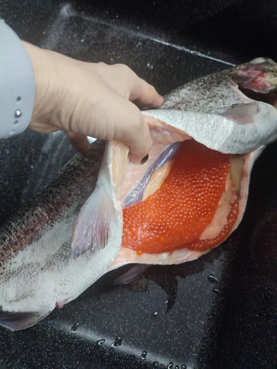 Продажа охлажденной форели икорной - Продукты питания (Барахолка) в Нижний Новгород