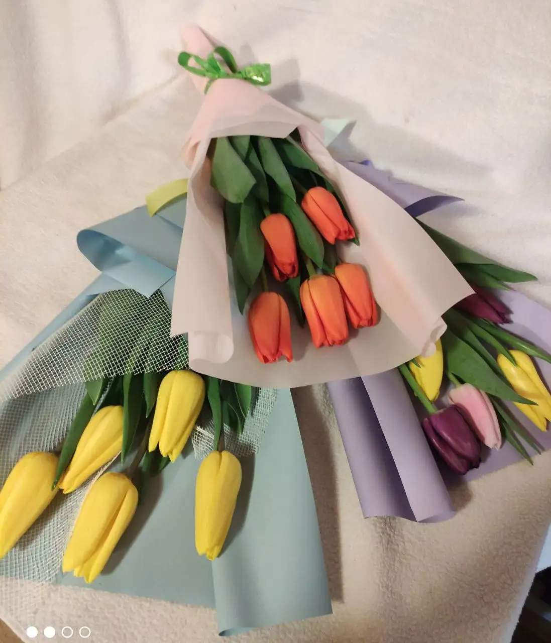 Тепличные растения из Италии с доставкой - Растения (Хобби и отдых) в Нижний Новгород