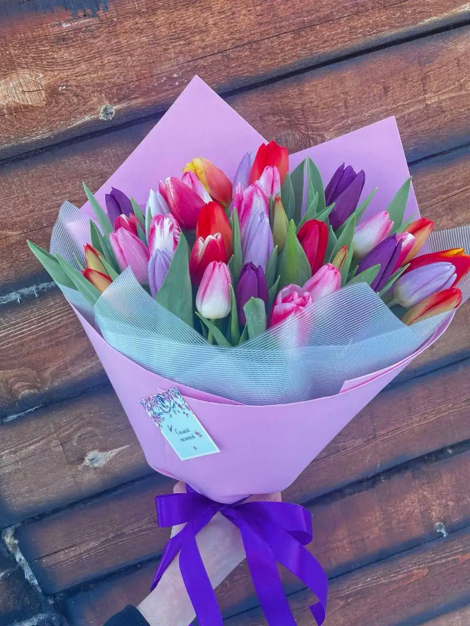 Тепличные растения из Италии - Растения (Хобби и отдых) в Нижний Новгород