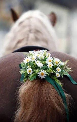 Подарочные сертификаты на услуги конного клуба - Обучение в Нижний Новгород