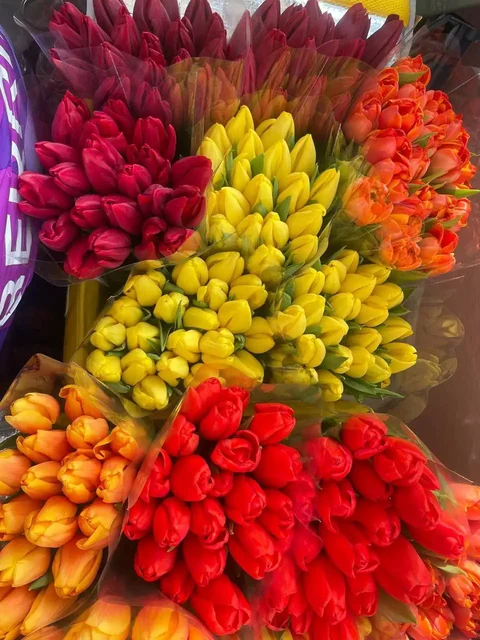 Голландский тюльпан к 8 марта - Обучение музыке в Нижний Новгород