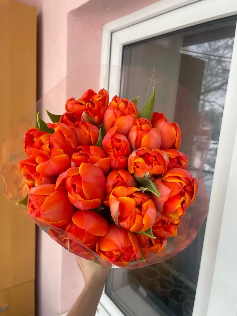 Голландский тюльпан к 8 марта - Доставка цветов (Услуги) в Нижний Новгород