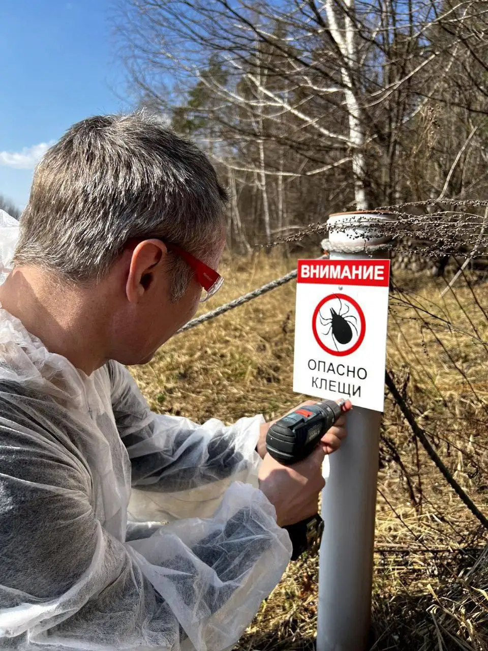 Обработка участка от клещей: важность и профилактика - Обработка участков (Услуги) в Нижний Новгород