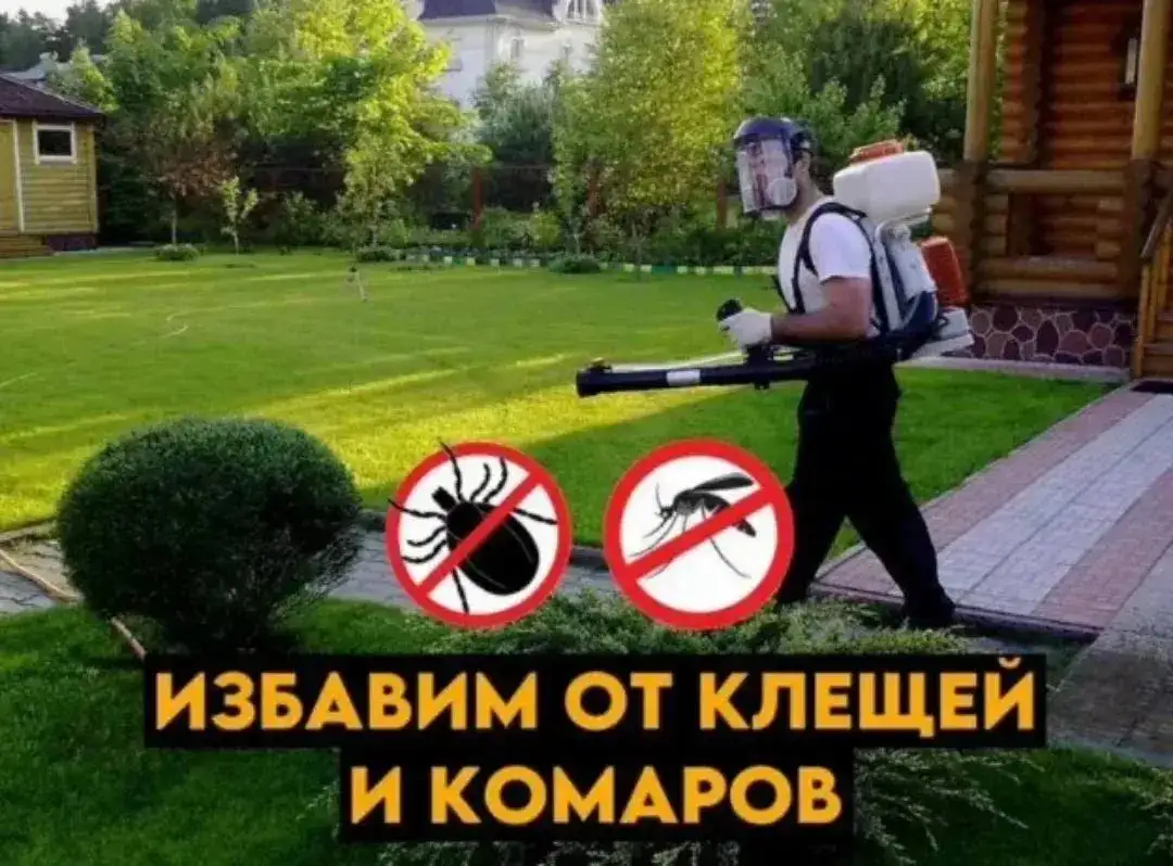 Услуги профессионального дезинфектора с опытом 6 лет - Дезинфекция (Услуги) в Нижний Новгород