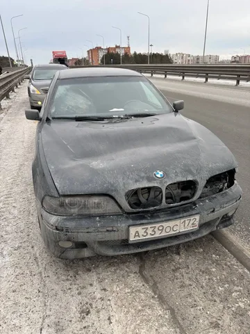Ищу хозяина - Поиск людей в Тюмень