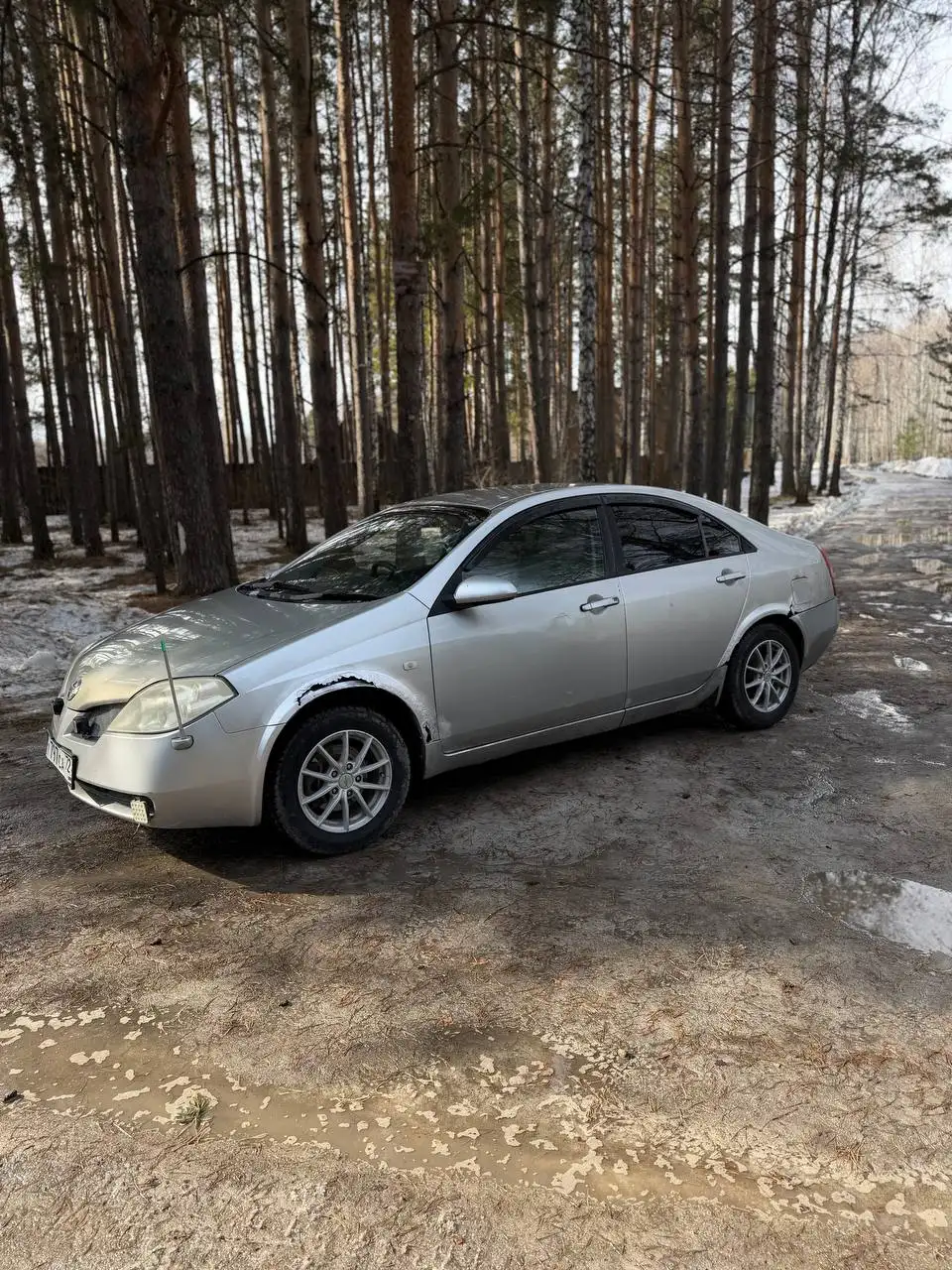 Продажа Ниссан Примера 2001 года - Легковые автомобили (Авто) в Тюмень