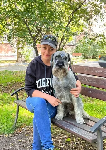 Щенки Миттеля средний Шнауцер - Животные в Иркутск