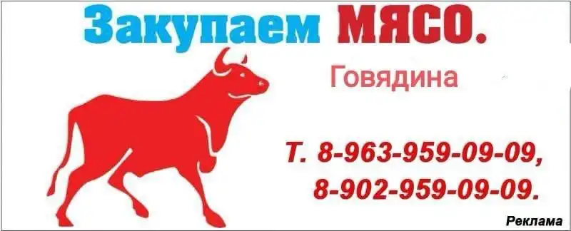 Покупка крупного рогатого скота