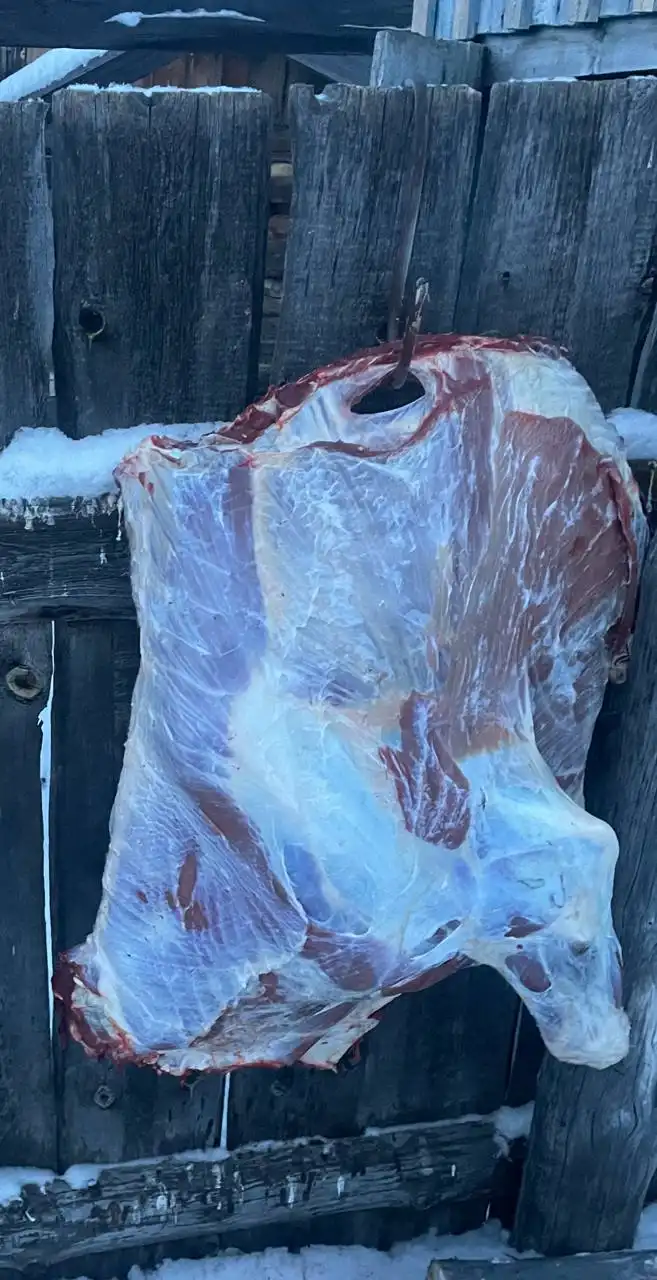 Продажа говядины