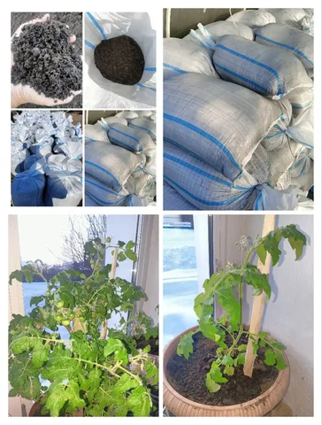 Грунт для рассады и цветов - Растения в Урик