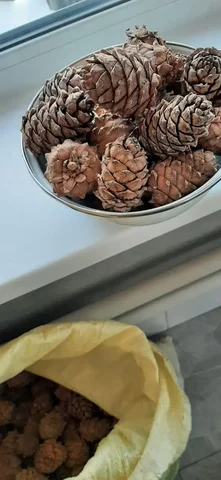 Продажа кедрового ореха в шишках - Продукты питания в Иркутская область