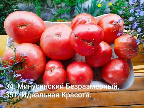 Продам/Куплю/Услуги Иркутская область - Хобби и отдых в Неизвестно