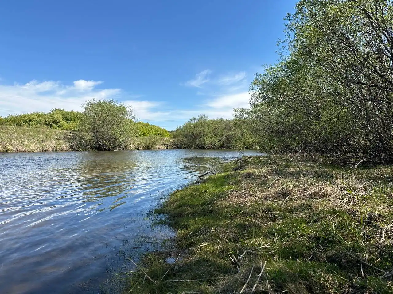 Продам участок на берегу реки Олха, первая линия, 6 соток - Земельные участки (Недвижимость) в Неизвестно