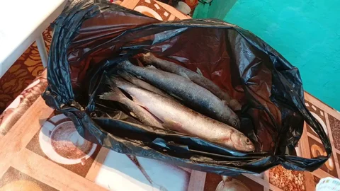 Продажа омуля - Барахолка в Неизвестно