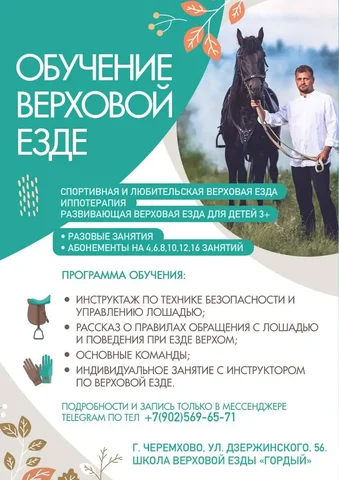 Школа Верховой Езды «Гордый» - Обучение верховой езде и иппотерапия - частное объявление в Черемхово