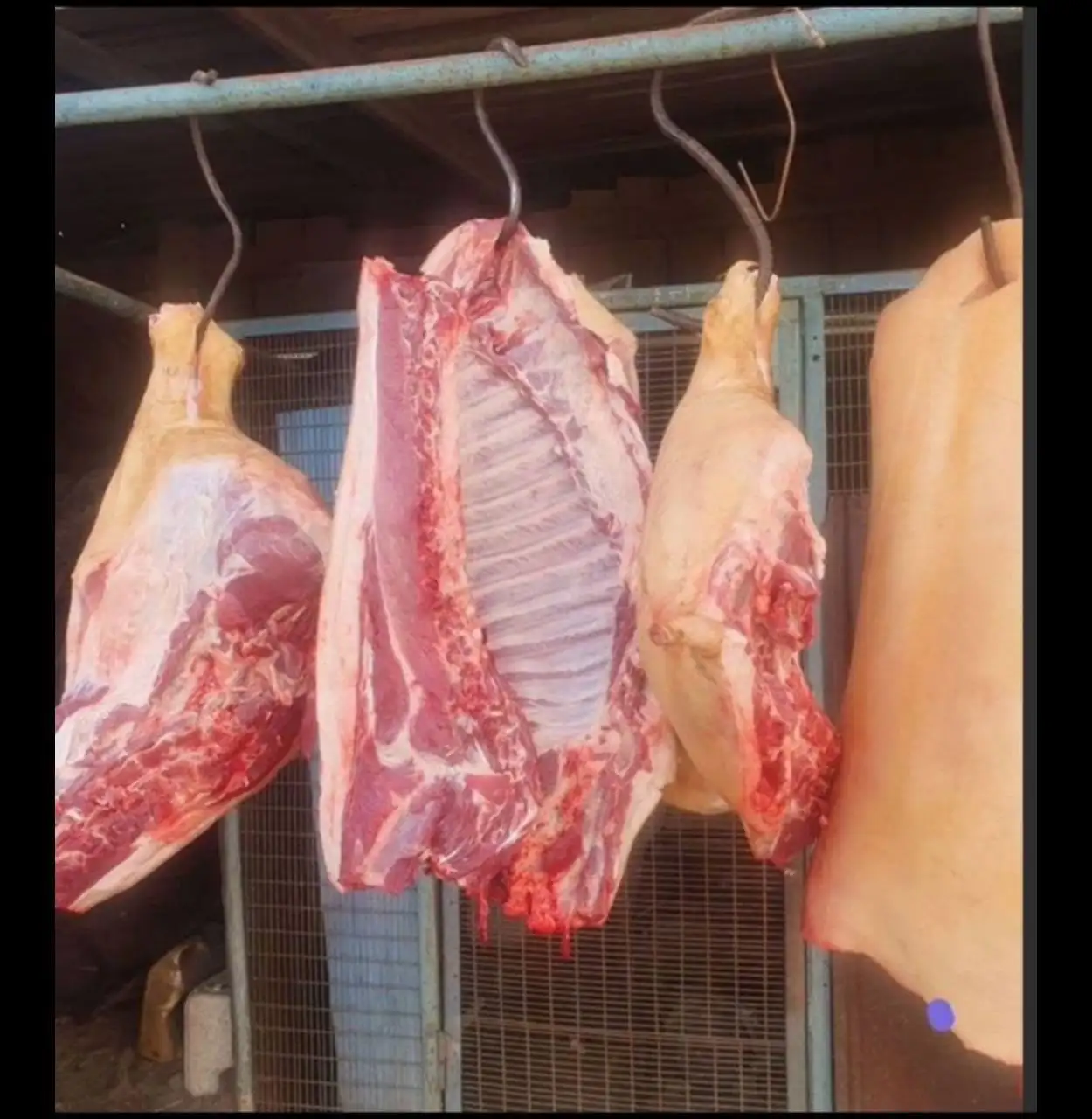 Продажа мяса со своего хозяйства: свинина и говядина - Продукты питания (Барахолка) в Иркутская область