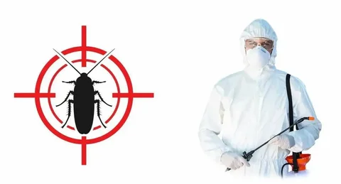 Услуги по уничтожению вредителей и плесени - частное объявление в Иркутская область