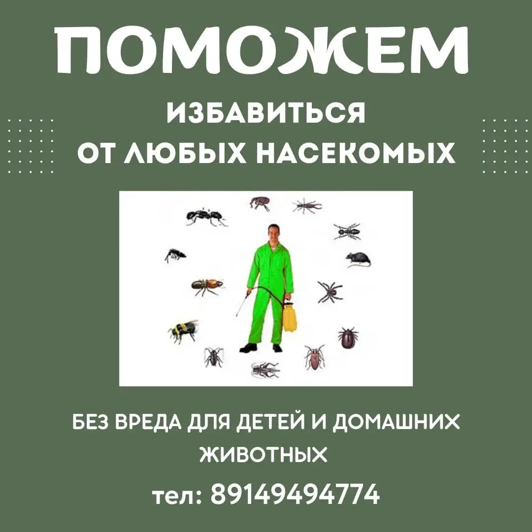 Дезинсекционные услуги для квартиры - Дезинсекция (Услуги) в Иркутская область