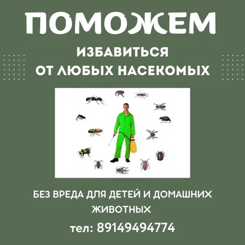 Дезинсекционные услуги для квартиры - Бытовые услуги в Иркутская область