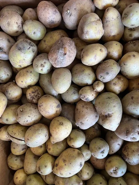 Продажа овощей и фруктов в Иркутске - Холодильники в Иркутск