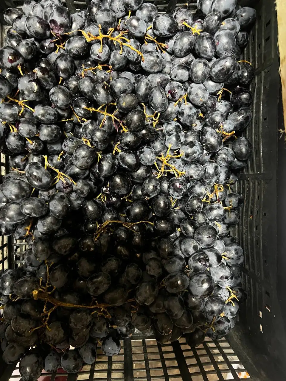 Продажа овощей и фруктов в Иркутске - Продукты питания (Барахолка) в Иркутск