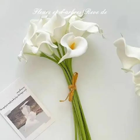 Эко-силиконовые цветы - Напитки/чай в Ново-Ленино