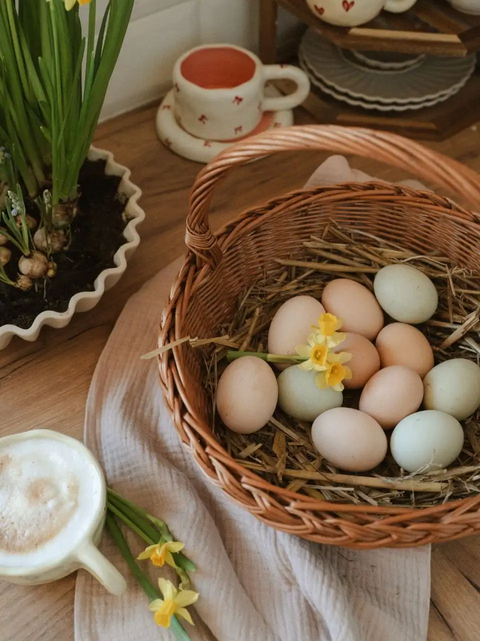 Продажа яиц и цыплят пород Австралорп, Аям Цемани, Барневельдер, Кохинхин, Фавероль, Маран - Птицы (Животные) в Красноярск