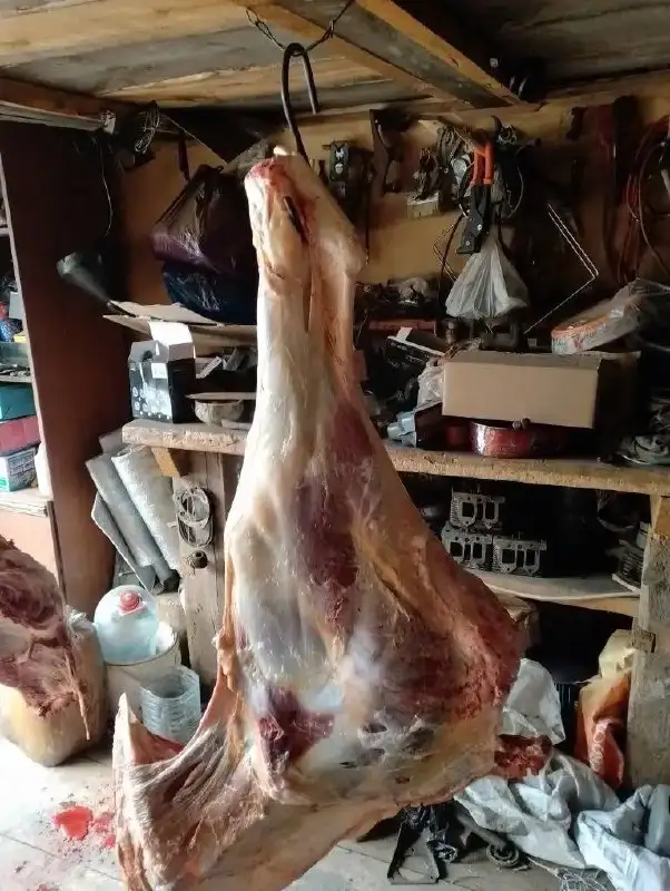 Продам говядину (телятина) возраст 2 года - Продукты питания (Барахолка) в Иркутская область