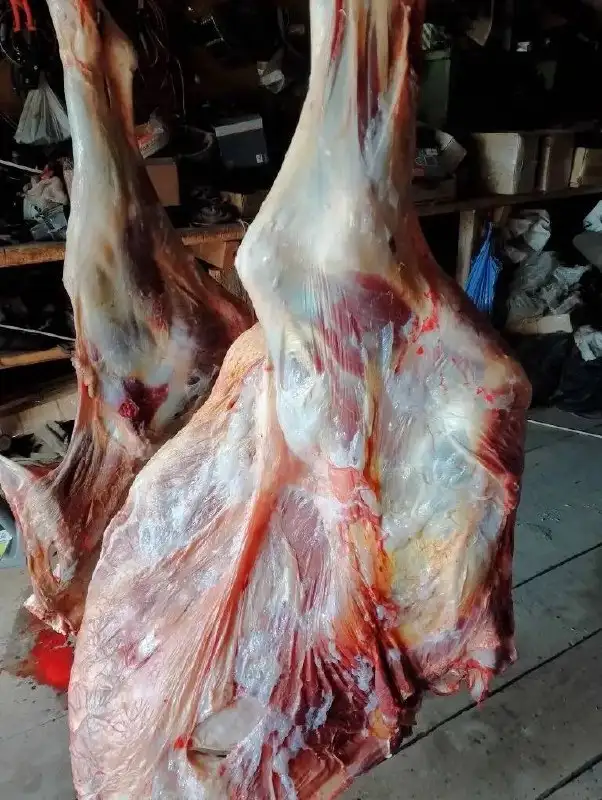 Продам говядину (телятина) возраст 2 года - Продукты питания (Барахолка) в Иркутская область