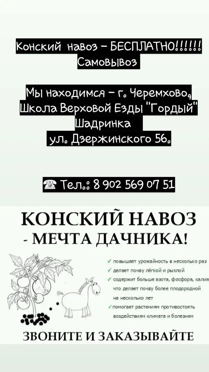 Бесплатный конский навоз для самовывоза - Удобрения (Для дома и дачи) в Черемхово